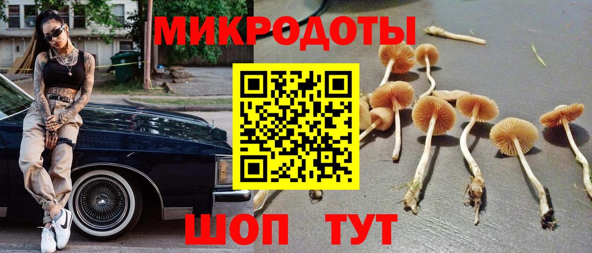 Ставрополь  Галлюциногенные грибы прущие грибы  Галлюциногенные грибы ЛСД  Вход с VPN 